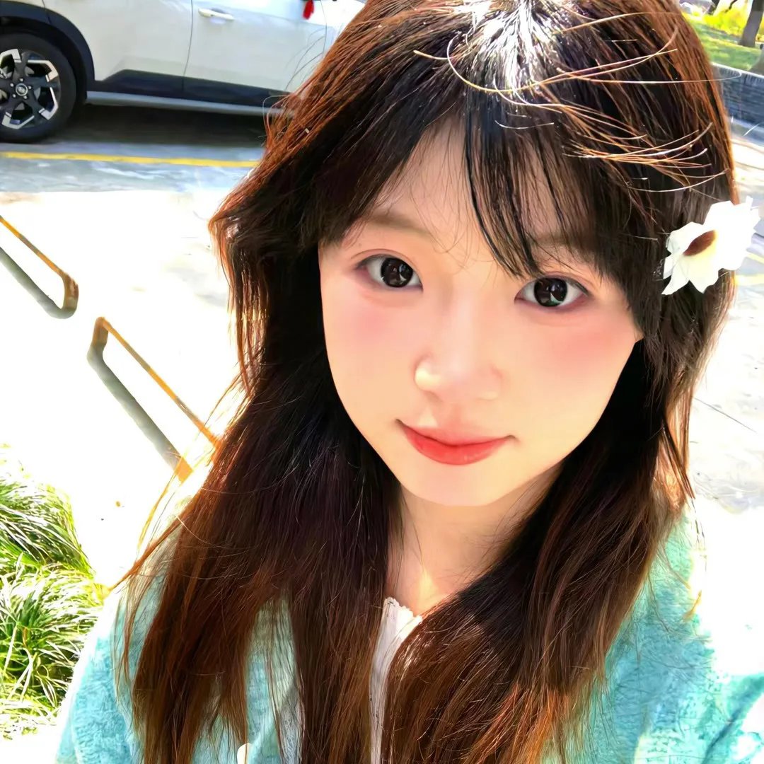 甄嬛爱不停